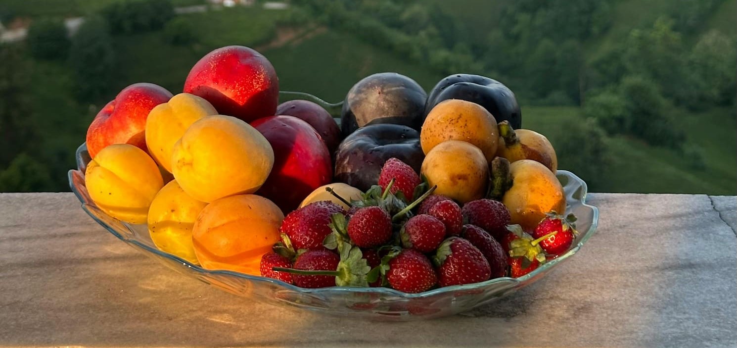 Een fruitschaal die in een mooie omgeving staat met bossen op de achtergrond. Zonnestralen schijnen op het fruit.